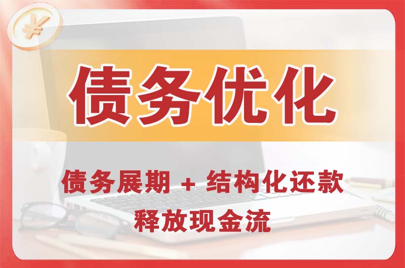 荔波债务优化