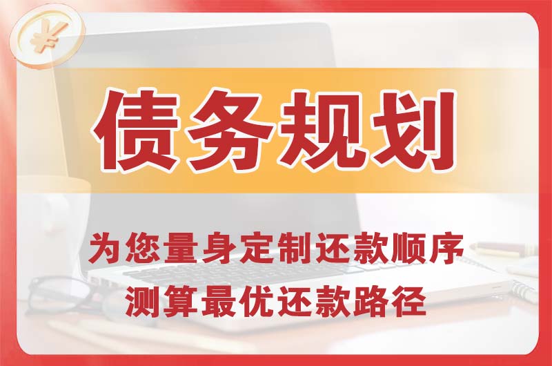 荔波债务规划